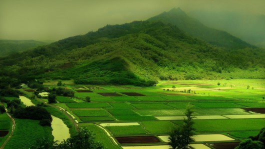 green_revolution_in_africa