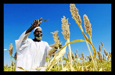 USAID Launches Infrastructure Fund for Africa