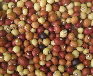 African Crops