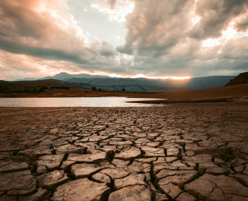 African Pastoralism and Resilience Through Drought