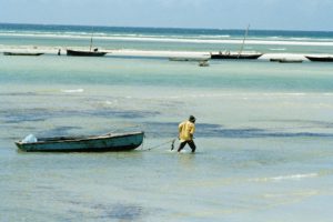 African startups