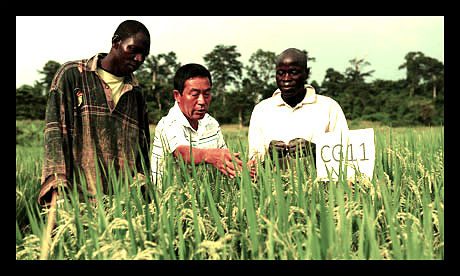African_Distrust_of_Chinese_Investment