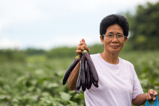 Agricultural Development in the Philippines