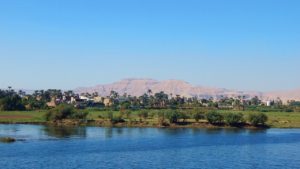 Agricultural Export in Egypt