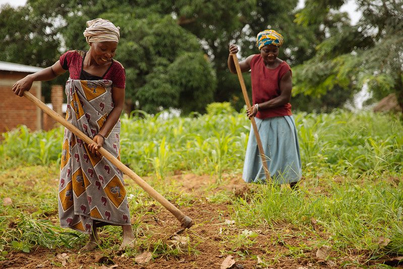 Agricultural Improvements in Tanzania