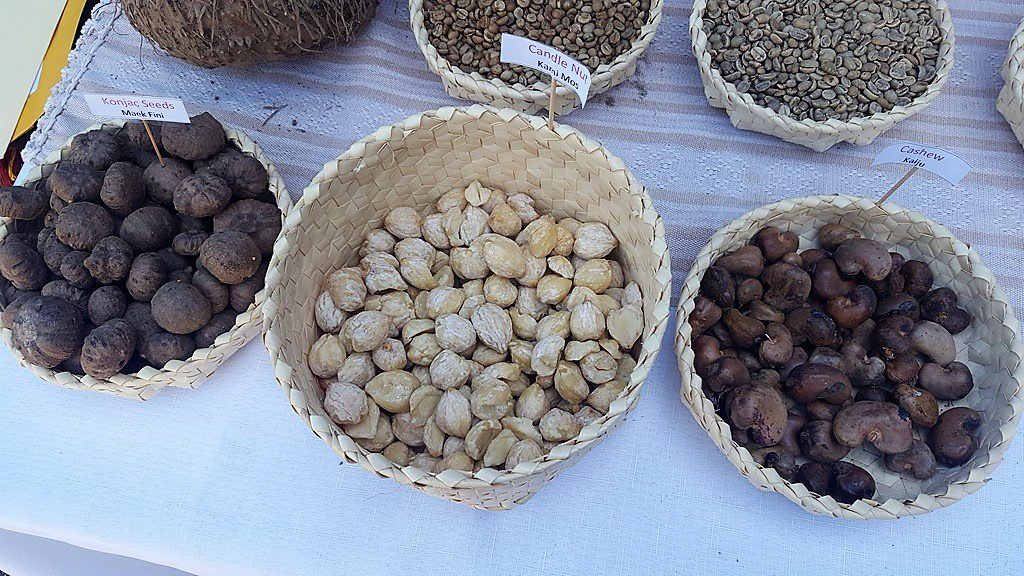 Agricultural NGOs in East Timor