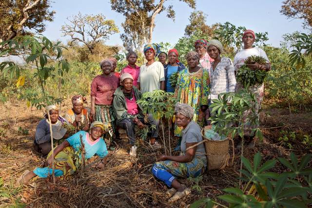 Agriculture Cooperatives in Impoverished Communities