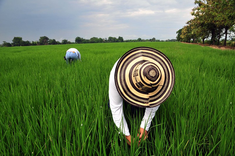agricultural-big-data-in-colombia-arai-yegros