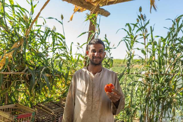 Agriculture in Egypt