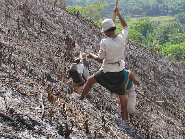 Agriculture in Madagascar