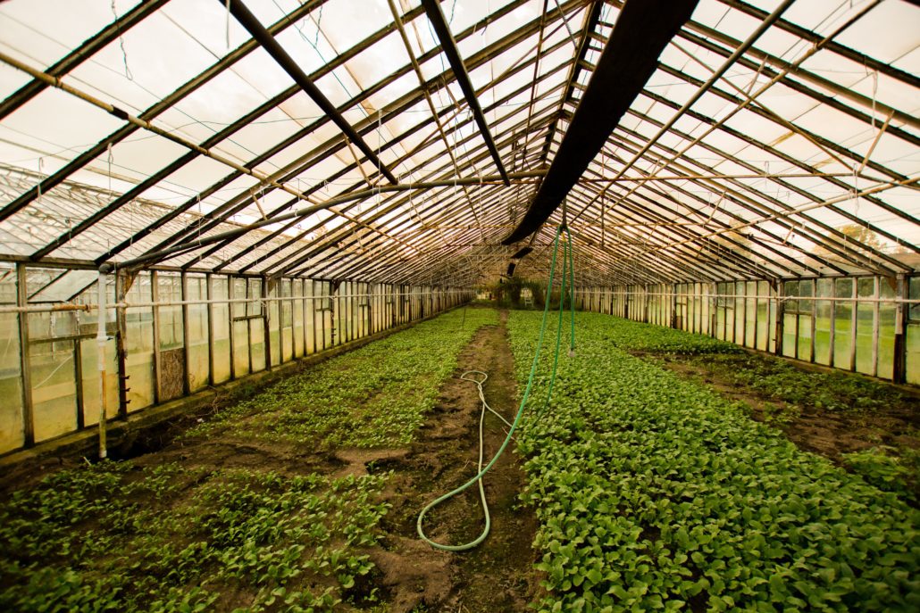 Agriculture in North Korea