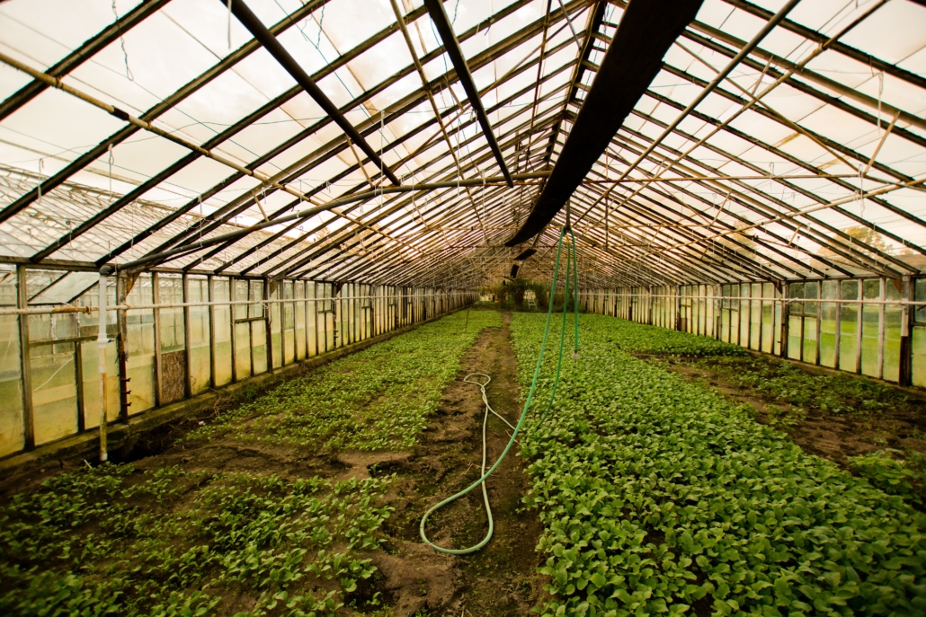 Agriculture in North Korea