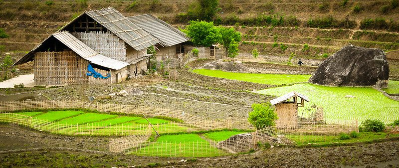 Agriculture in Vietnam