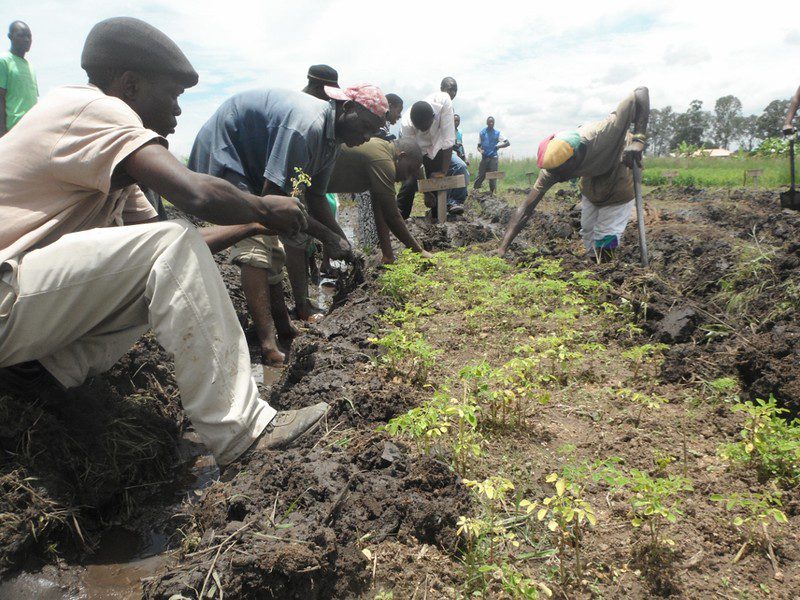 Agriculture in Zimbabwe