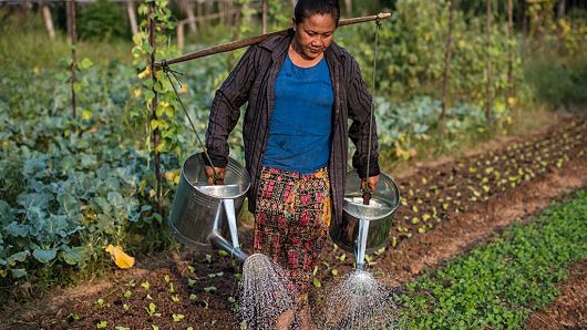 Agriculture_Effective_Poverty_Reduction