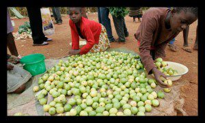 Can Aid For Trade Reduce Poverty?