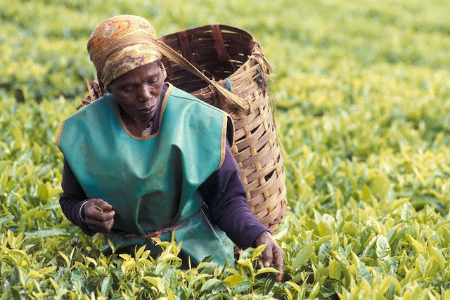 Apps Help Farmers