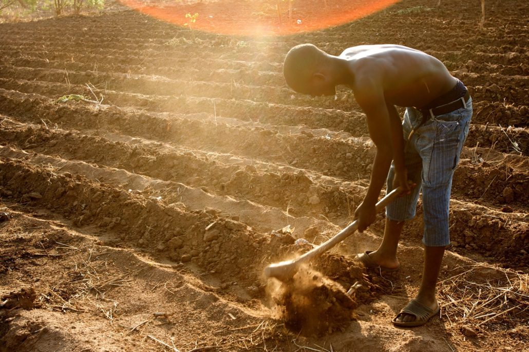 Apps Improving Agriculture in Africa