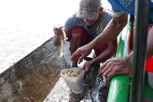 Aquaculture in Nicaragua