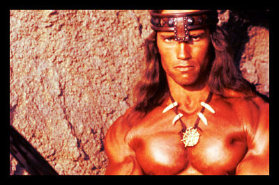 Arnold Schwarzenegger Political Career