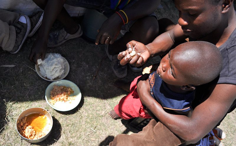 AuREUS Solar Panels: A Solution to Food Waste in Communities