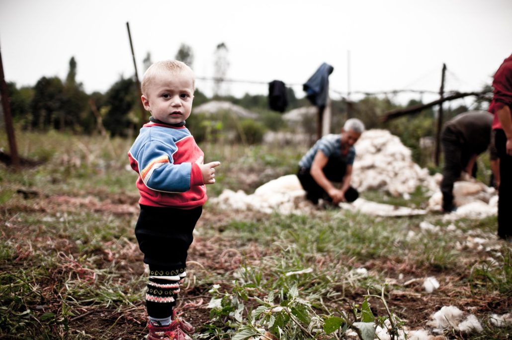 Austrian Development Agency Assists South Caucasus