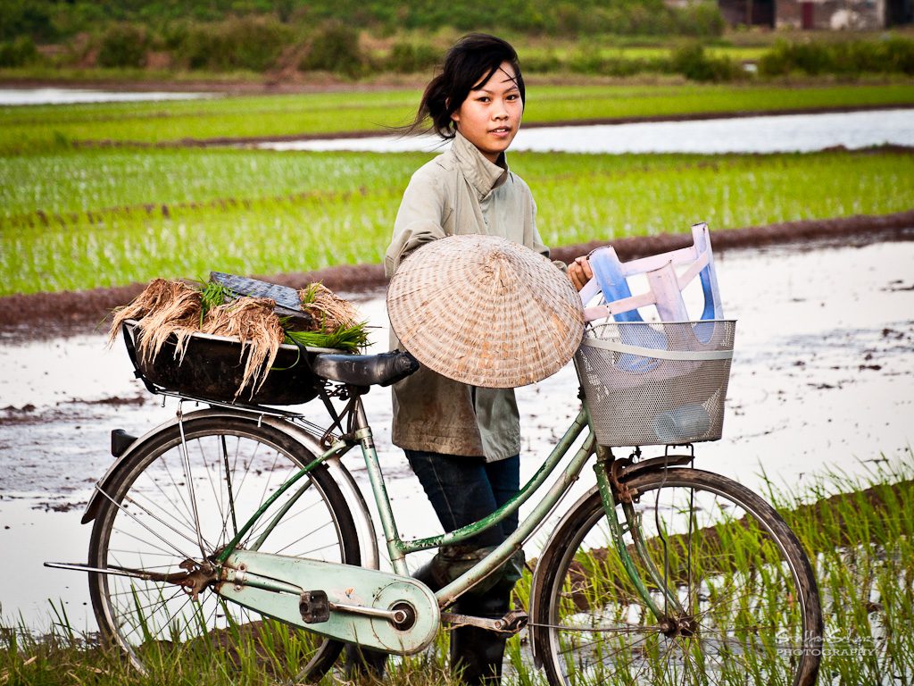 Automated Agriculture in Thailand