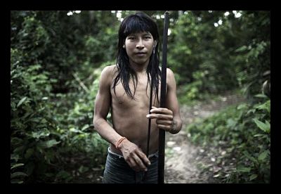 returning-the-rainforest-to-the-awa