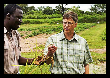 BIll_Gates_Loves_Fertilizer