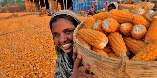 Bangladesh_Nonprofit