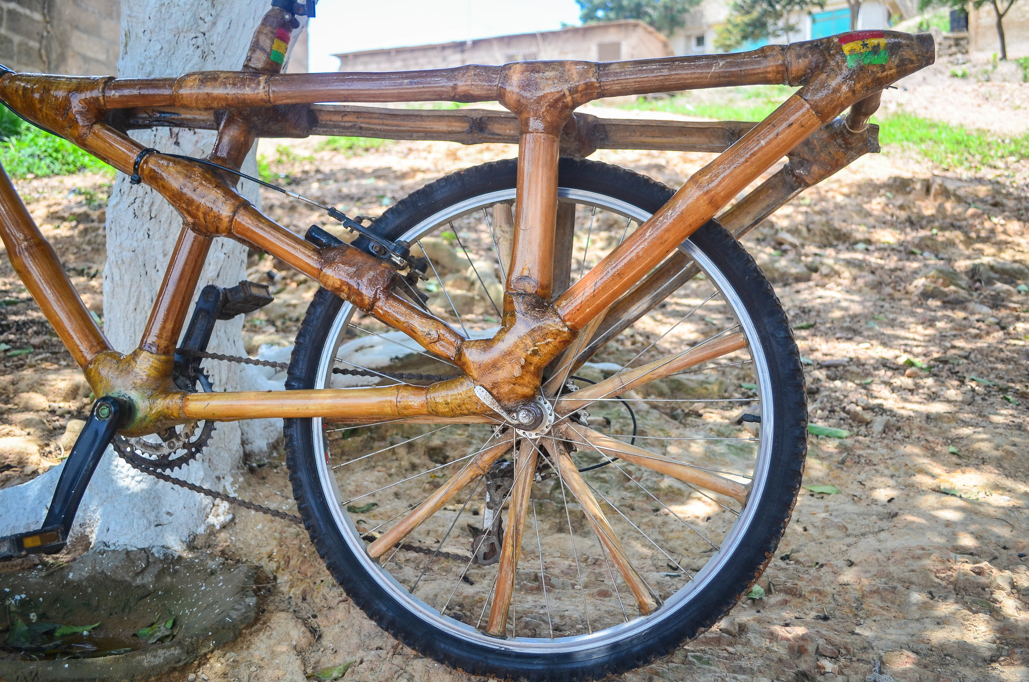 Bamboo Bikes
