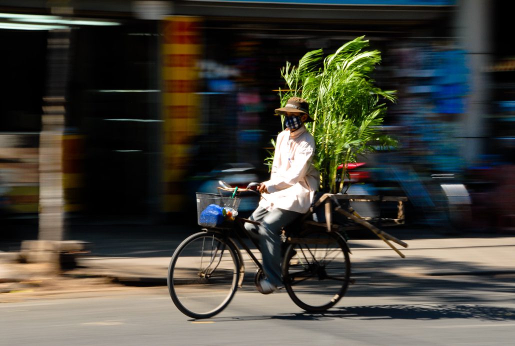 Bamboo Houses