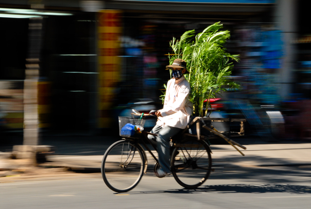 Bamboo Houses