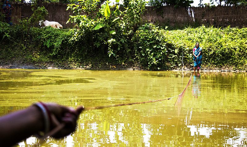 bangladesh-a-leader-in-fighting-hunger