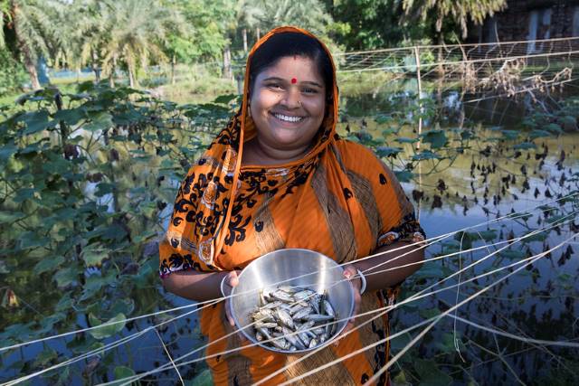 Bangladeshi Farmers
