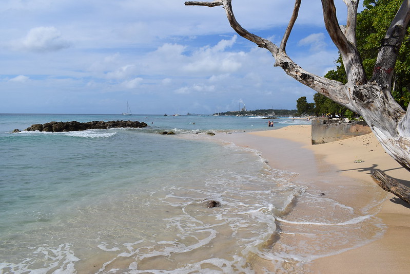Gender Wage Gap in Barbados
