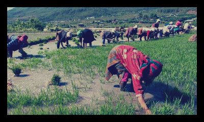 Bhutan: First Country with Completely Organic Farming