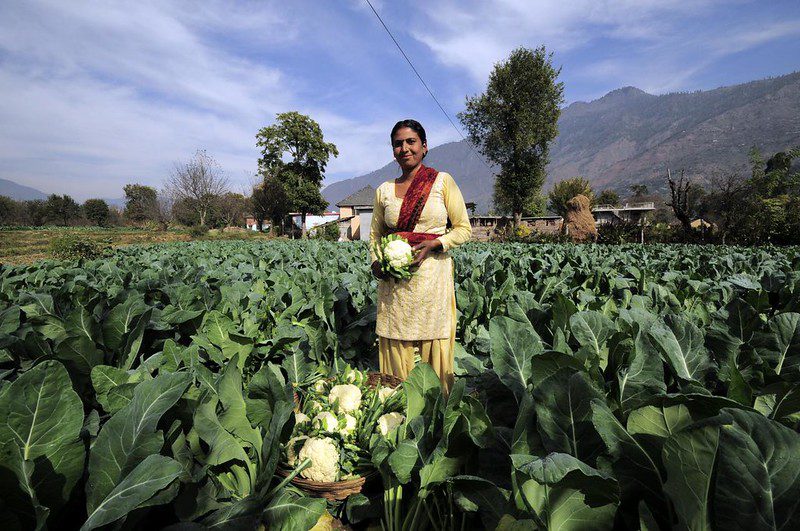 BlueOrchard Transforming lives Through Impact Investing