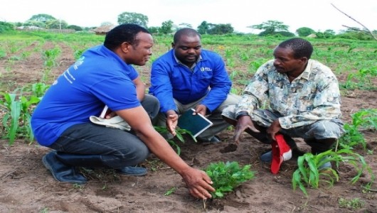 US and Brazil Work Together for Food Security