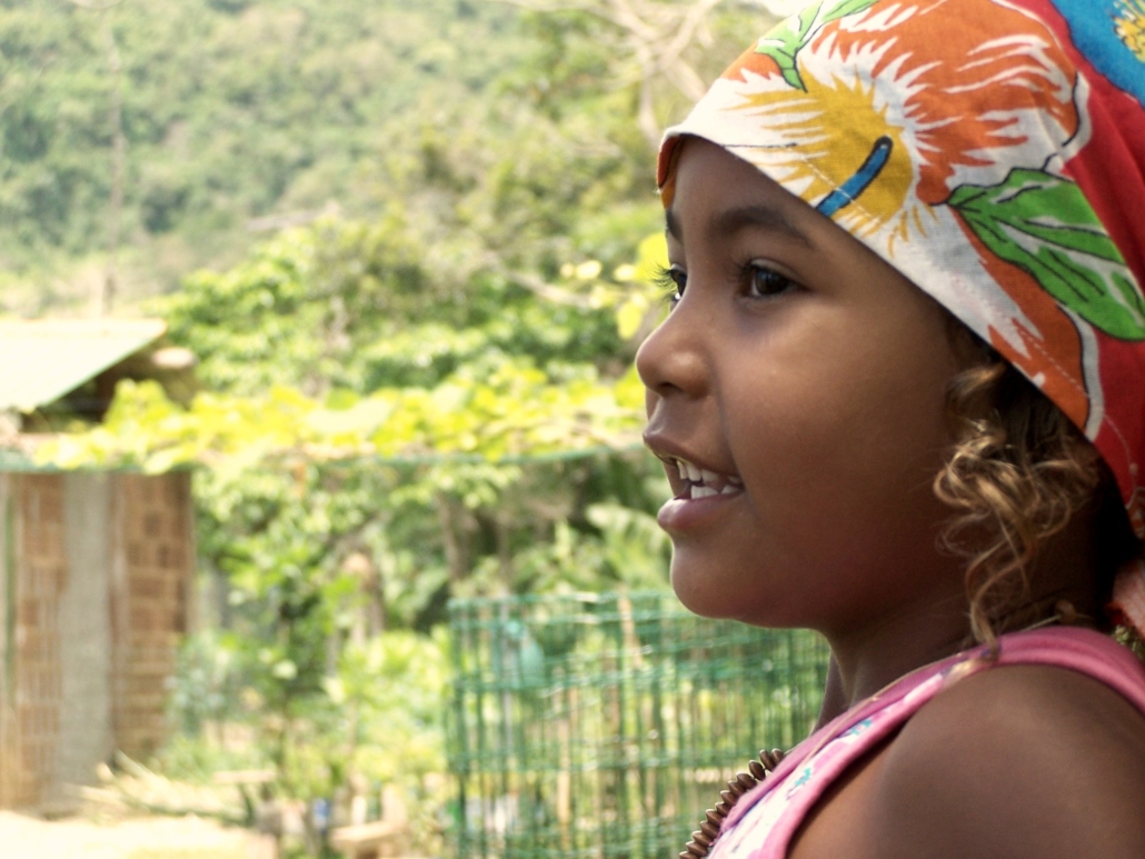 Brazil's COVID-19 Pandemic