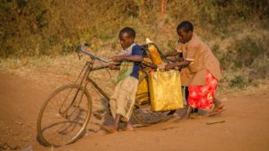 Buffalo Bicycles