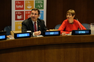 Countries being helped by the UNDP