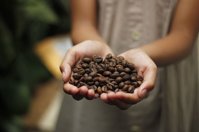 Cafe Femenino Foundation
