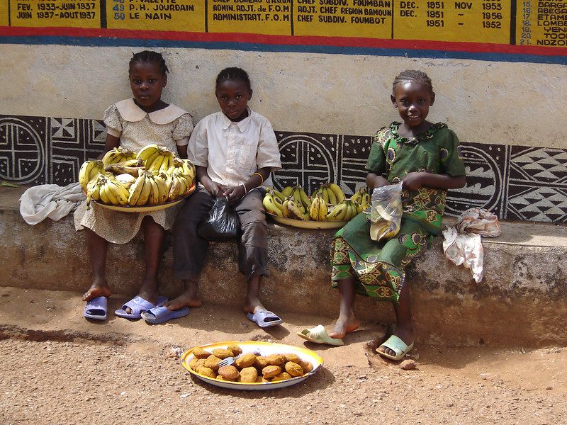 Cameroon’s Agriculture Industry