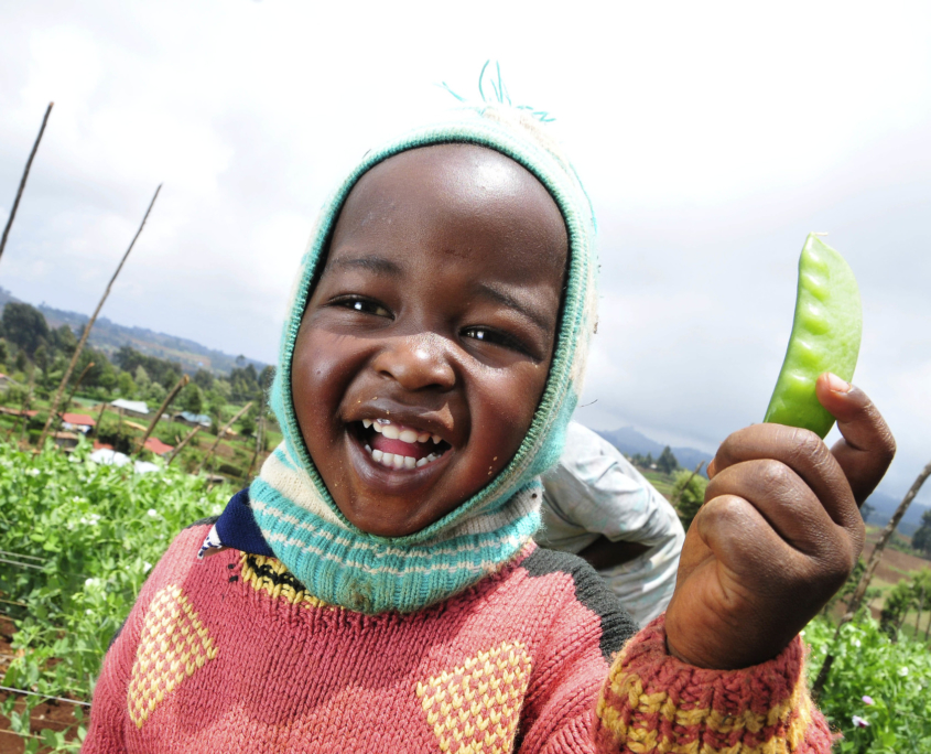 Can Vegetarianism Help Feed the Hungry?