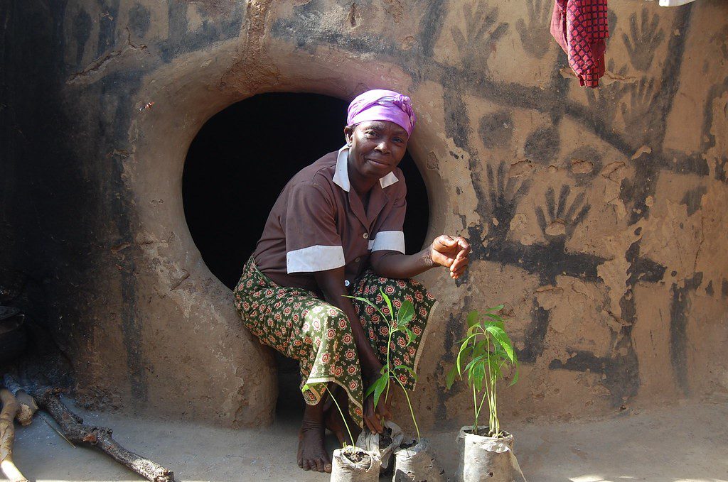 Causes of Desertification