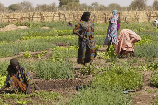 Causes of Poverty in Mauritania