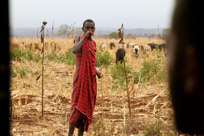 Causes of Poverty in Tanzania