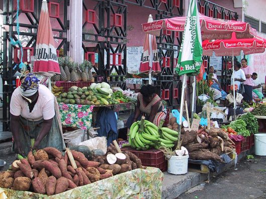 Causes of Poverty in Guadeloupe