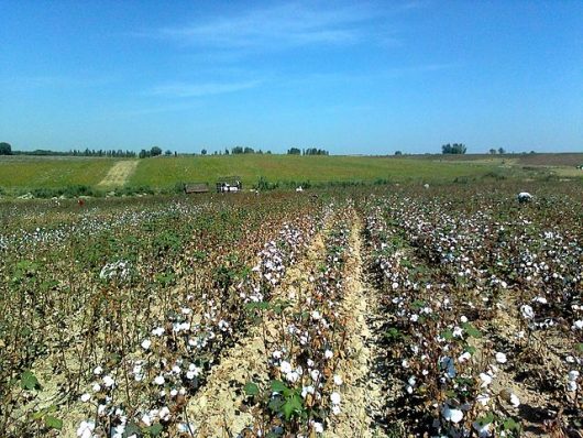 Causes of Poverty in Uzbekistan